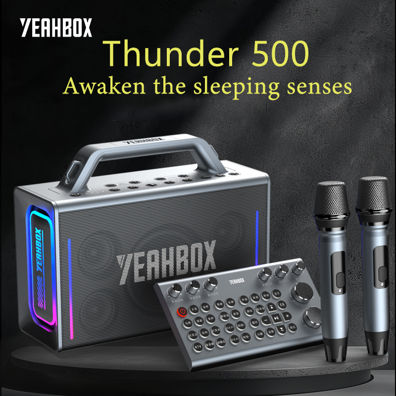 YEAHBOX Thunder 500 蓝牙音箱，带直播和卡拉 OK 声卡，一体式 - 高端户外音响系统