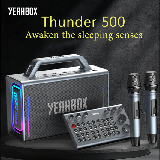 YEAHBOX Thunder 500 蓝牙音箱，带直播和卡拉 OK 声卡，一体式 - 高端户外音响系统